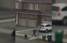 Man Chased By Wild Turkey In Brampton