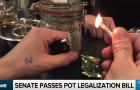 Pot Legalization Bill Passes In The Senate