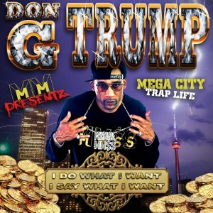 Don-G- Trump Trap Politics