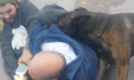 Meanwhile In Stouffville: Warning Graphic Content - Cellphone Footage Captures Dog Attack