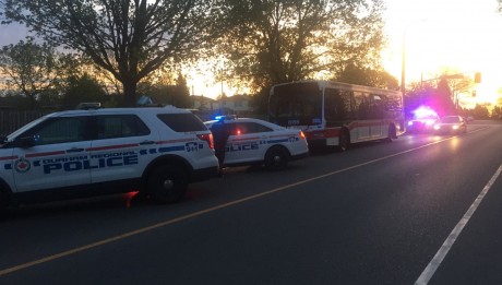 Man Arrested After Stolen TTC Bus Found In Whitby