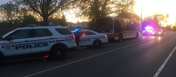 Man Arrested After Stolen TTC Bus Found In Whitby