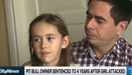 Pit Bull Owner Sentenced To 4 Years After Girl Mauled