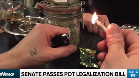 Pot Legalization Bill Passes In The Senate