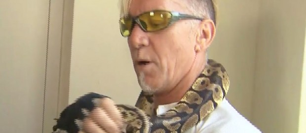 Python Removed From Wall Of Scarborough Apartment