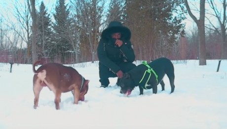 Roney- Animal