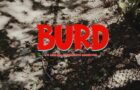Get To Know Burd 2026